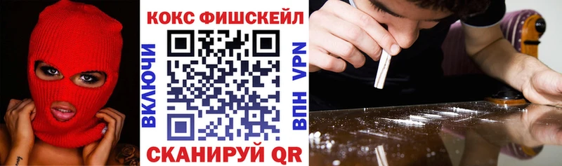 Купить где  Омск  COCAIN FishScale 